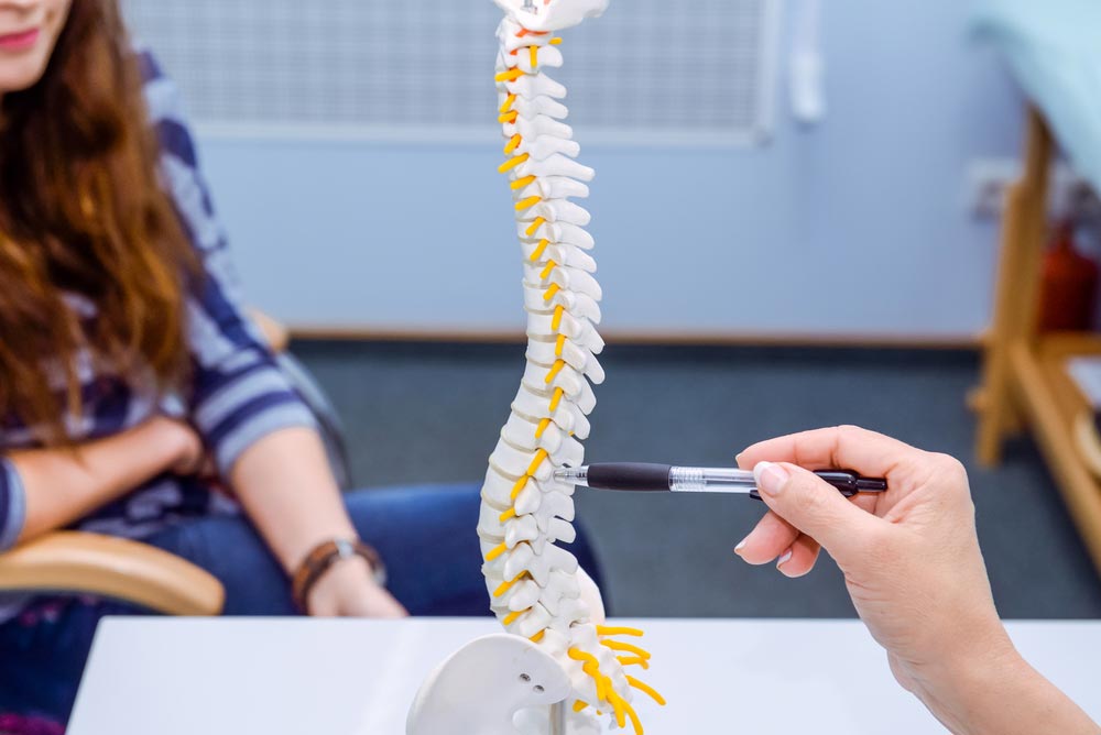 Educating A Person About Their Spine